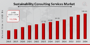Sustainability Consulting Services Market Size1