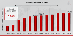 Auditing Services Market Growth