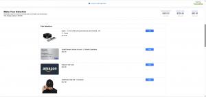 TruCentive recipient experience showing multiple items selected from a single delivery.