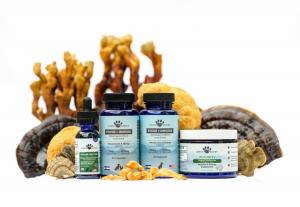 Earth Buddy carries a variety of functional mushroom products that may support the immune system and improve cognitive function.