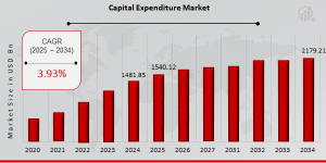 Capital Expenditure Market Growth