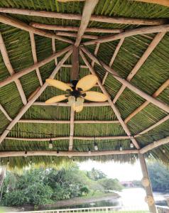 Native American Palm Tiki Huts Rethatch