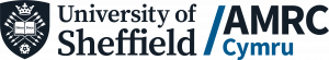 AMRC Cymru Logo