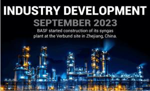 Syngas Market Size