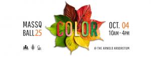 Colorful leaf formation with text: Color MassQ Ball 25 Oct. 04 10am-4pm with COOS, Create and Record, and Arboretum logos