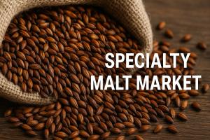 Specialty Malt Market