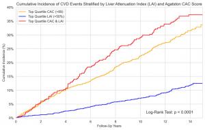 15-year cardiovascular disease (CVD) incidence by liver attenuation index (LAI) and Agatston coronary artery calcium (CAC) score.