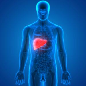 Human Liver on Male Body