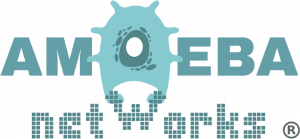 Amoeba Networks, Inc.