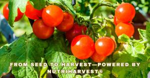 From seed to harvest — powered by NutriHarvest®