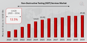 Non-destructive Testing (NDT) Services Market Growth