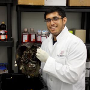 Waleed Ali preparing to inspect a horseshoe crab specimen at the Joint School of Nanoscience and Nanoengineering. (August 2016)
