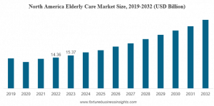 Elderly Care Market size