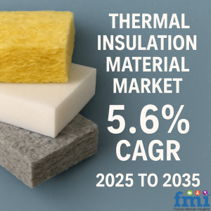 Thermal Insulation Material Market
