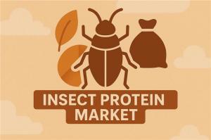 Insect Protein Market