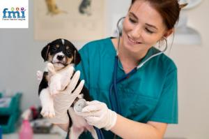 Veterinary Rehabilitation Services Market