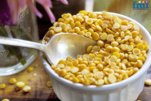 Yellow Pea Protein Market