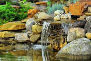 water landscape serenity