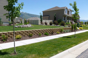 Landscaping Trends
