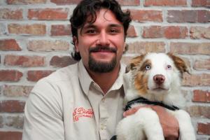 unclogs for dogs drain cleaning chicago