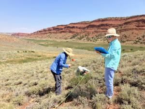 Scientists monitor the spread of cheatgrass at Red Canyon Ranch, a Nature Conservancy preserve near Lander, Wyoming.