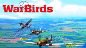 P-51D Mustangs