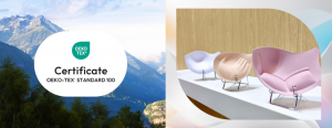 Focus Molded OEKO TEX Certificate Logo Alongside Molded Bra Cups