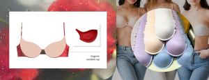Focus Molded Selection of Molded Bra Cups