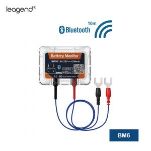 leagend BM6