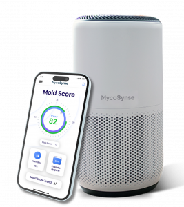 White cylindrical MycoSynse mold monitor beside smartphone showing the MycoSynse app with an 82 mold‑score gauge