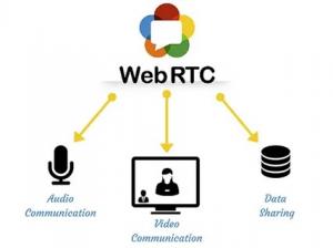 Web Real-Time Communication Solution Market