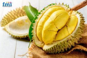 Durian Powder Market