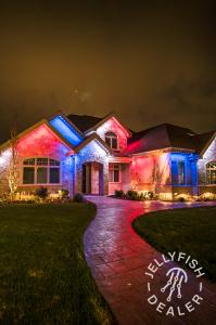 Lighting Installers - Roof Lites Chicago.