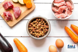 Natural Pet Food Industry size