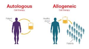 Autologous Cell Therapy Market Trend
