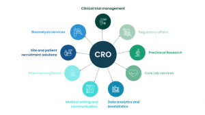 Contract Clinical Research Organization Market Analysis