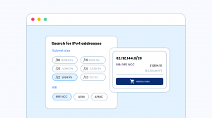 Utilizing IP resources for profit made simple with IPXO.
