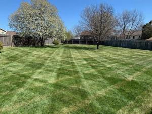 Lawn Care Omaha