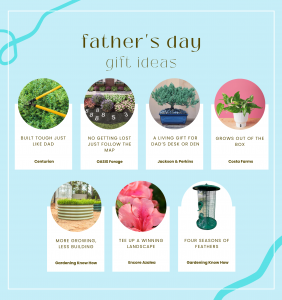 Image of 2025 Father's Day Gift Guide