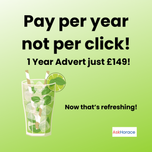 Illustration of a lime drink with the slogan “Pay per year, not per click” promoting AskHorace.com’s £149 annual advert offer.