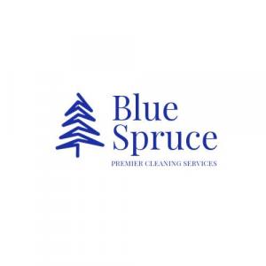 Blue Spruce Maids Celebrates 10 Years of Excellence in the Industry