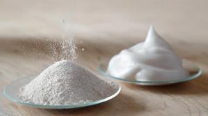 Ovalbumin Powder Market