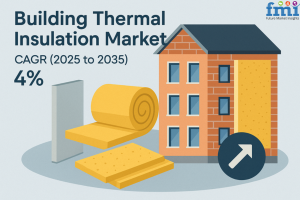 Building Thermal Insulation Market