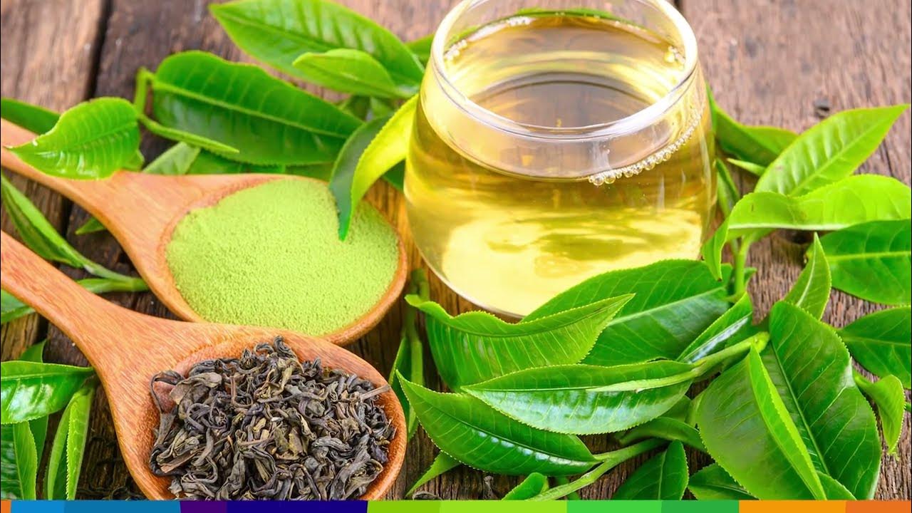 Green Tea Extracts Market