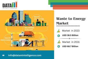 Waste to Energy Market