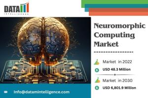 Neuromorphic Computing Market