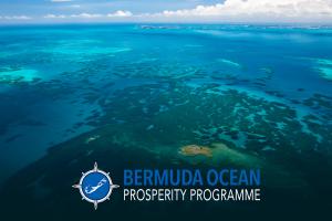 Bermuda's island economy and habitats will both improve with the creation of Marine Protected Areas in 20% of the country's EEZ.