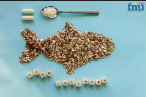 Fish Collagen Market