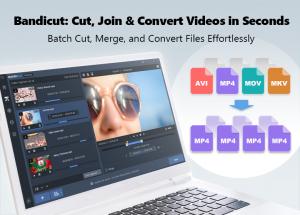 Batch Cut, Merge, and Convert files