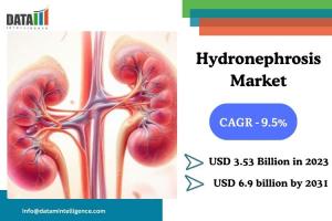 Hydronephrosis Market